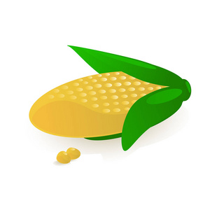 绿色植被插画背景甜玉米矢量插画照片