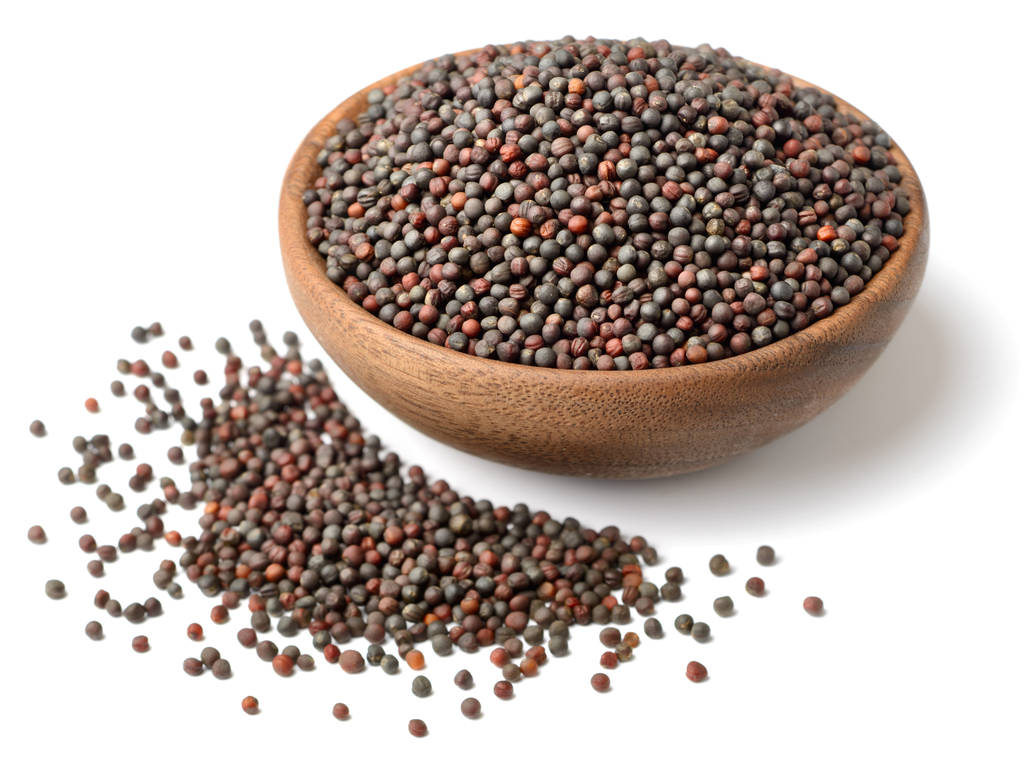 卖假种子被罚近70万！