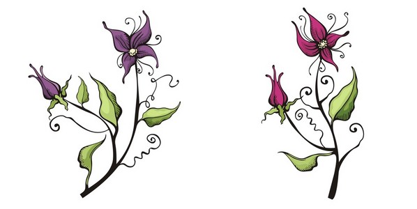 花艺设计设置在一个单一的风格，矢量插图系列