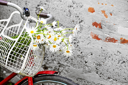 复古旧自行车与春黄菊在篮子附近风化墙