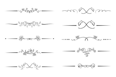花和花式分隔符矢量集