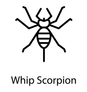 一个昆虫的图标有一个针尾巴描绘鞭蝎子