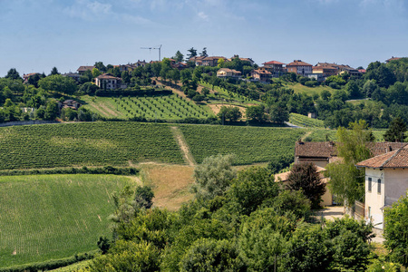 从 Govone 到圣 Alfieri, 阿斯蒂, Monferrato, 意大利山麓, 夏季的道路