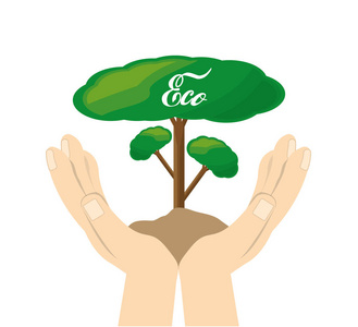 拯救星球保护植物照片