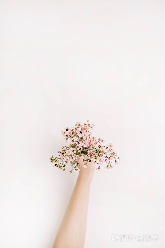 女人手捧着野花.平躺, 顶部景观花卉背景