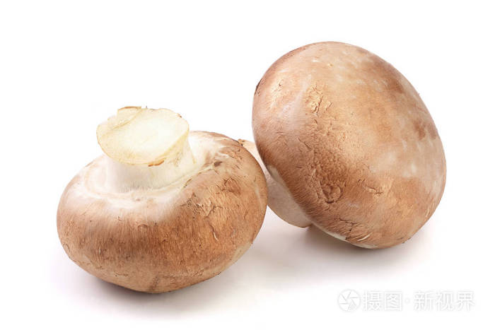 白色背景的皇家棕色香菇