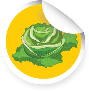 食品字符表情符号矢量图卡通白菜卡通白菜人物白菜蔬菜卡通的图画书