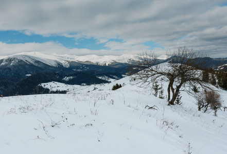 早晨，冬天，白雪覆盖的风景，如诗如画的山