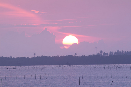 初升的太阳初升的太阳照片
