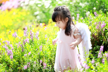 在花田的小仙女照片