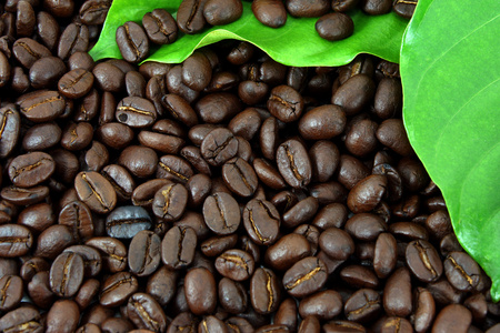 烘焙过的咖啡豆和树叶