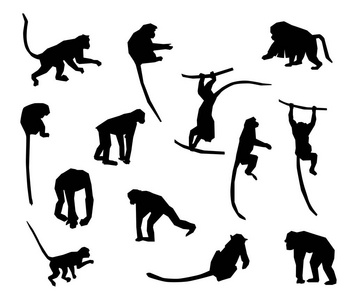 猿和猴子收藏矢量剪影