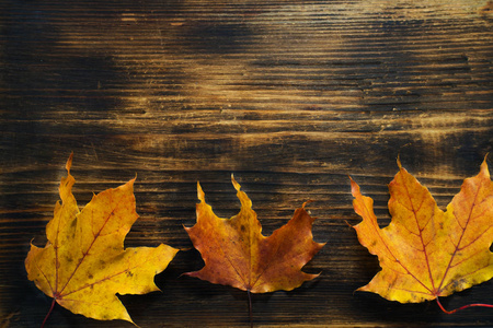 秋天的背景落叶在木板上。秋天枫叶