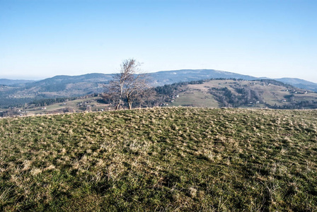 波兰 Ochodzita 山 Beskid Slaski 山