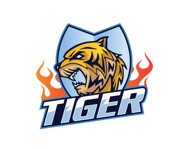 底特律老虎队图片