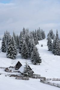 在特兰西瓦尼亚的高山村庄, 罗马尼亚。冬天积雪覆盖的房子