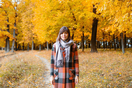 秋天森林的年轻妇女的肖像。褐发女郎妇女在秋季公园与时尚格子大衣和围巾