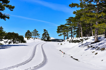 雪山公路, 交通运输, 车辆径