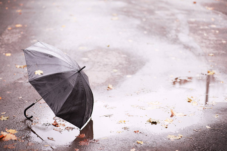 10月秋季雨季公园