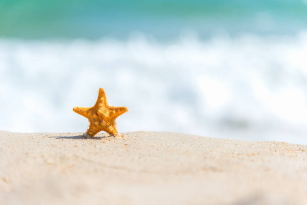 海星在沙滩上的沙滩背景蓝色的天空。暑期旅游理念