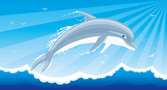 欢快的海豚从海水中跳跃
