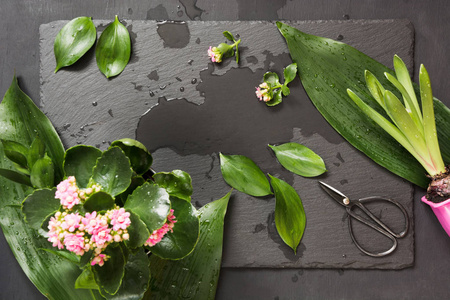 绿叶用盆景剪刀植物区系地理在湿桌上。形成一束花束。顶部视图