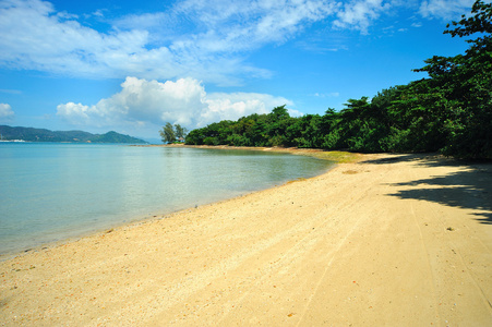 热带海滩