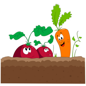 卡通胡萝卜照片