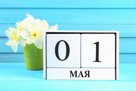 白色木制日历与文本俄语 5月1日。蓝色木桌上的水仙花白色花朵。劳动节和春天