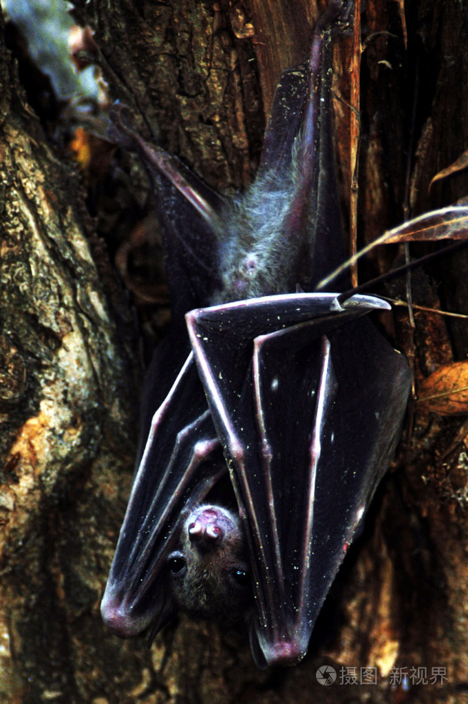 暂无图片作者lucidwaters新媒体授权标准授权扩展授权如何选择jpg大