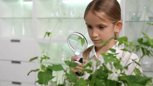 孩子在化学实验室, 学校女孩学习植物教育项目