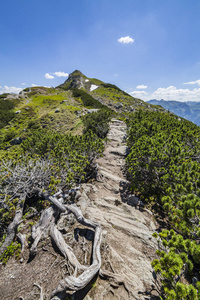 徒步旅行小径从山 Gasselhoehe 到 Rippetegg 在施蒂里亚, 奥地利