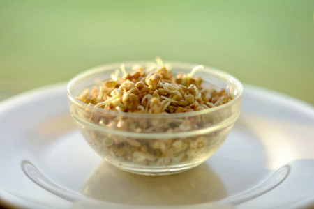 青荞麦芽在白盘子上的玻璃碗里照片