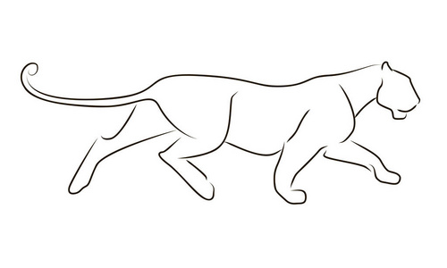 在白色背景上运行黑线豹。手绘矢量图豹