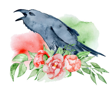 水彩黑乌鸦花牡丹花束手画乌鸦与花照片