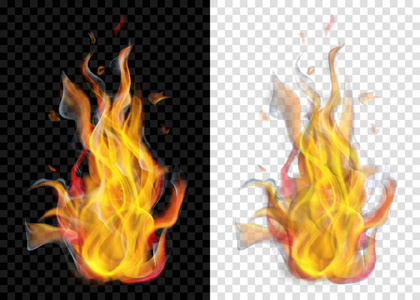 两个半透明燃烧篝火与烟雾在透明背景。用于光和暗背景。仅在矢量格式的透明度