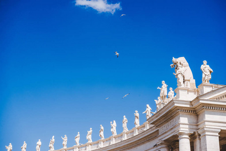 意大利梵蒂冈 St. 彼得斯广场上空的鸟类的底部鸟瞰图