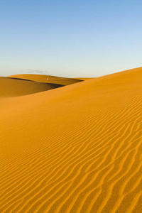 大加那利岛马斯帕洛马斯沙丘的波纹和光滑的沙子
