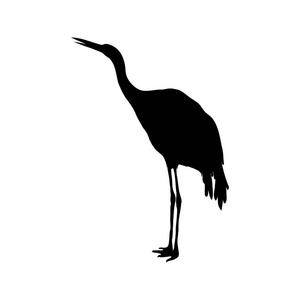 白鹭剪影图片