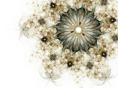 数码艺术作品创意图形对称形花图片
