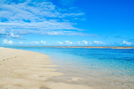 热带海岸的美丽的夏天风景