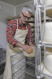 乳酪制造商检查生产在乳酪地窖里