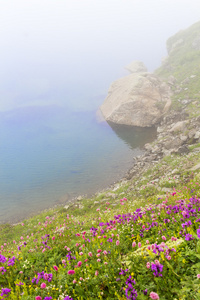 湖泊风景图片