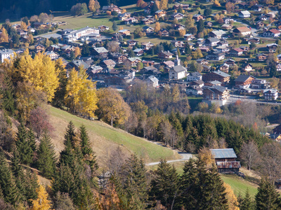 Joly Comtamine山口高高的Savoie France