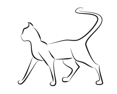 黑线猫在白色背景。手绘矢量图形