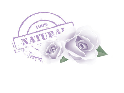 花卉背景与自然文本一枚邮票在邮票里面写