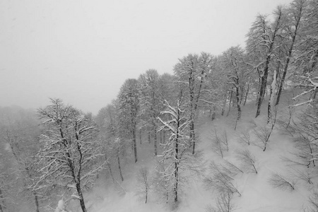 冬季滑雪坡道和升降机的黑白照片雪中群山的雪坡