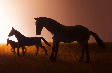 日落背景下三匹马的剪影