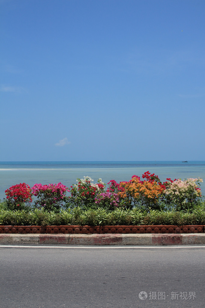 叶子花与蓝色的大海和天空背景