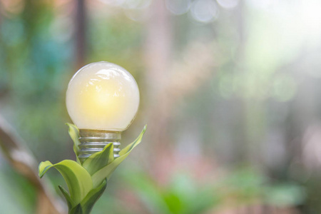 生态和 saveing 能源灯泡 led